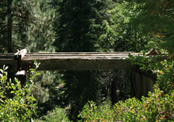 Bourland Trestle