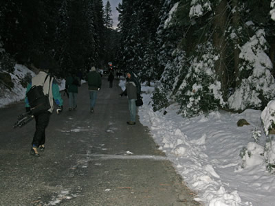 Walking toward the Xmas Tree