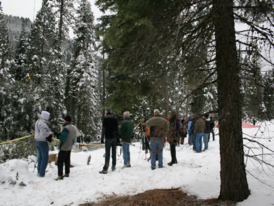 Observers watching Tree