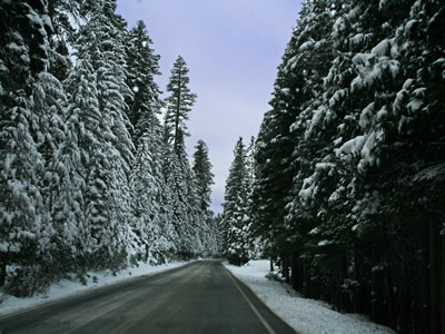 Scenery Along Route to Sonora 2