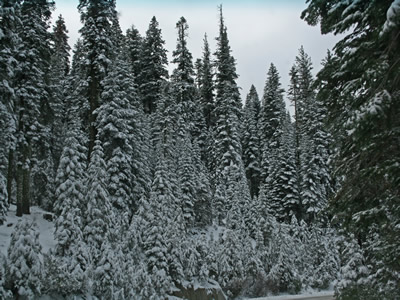 Scenery Along Route to Sonora 8