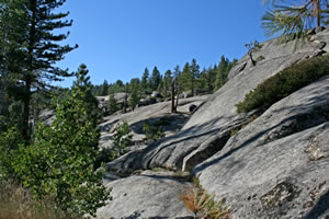 Along the Bell Meadow Trail