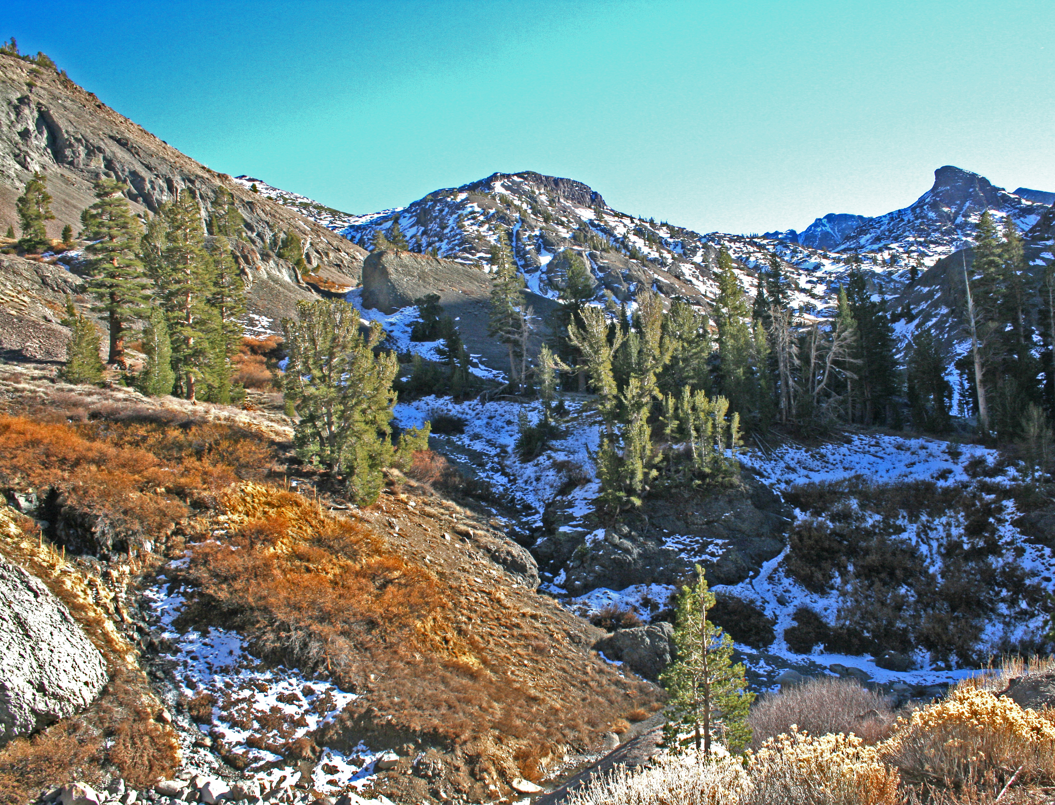 Sonora Pass