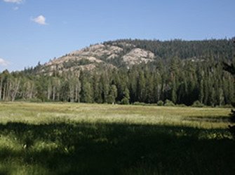 Bell Meadow