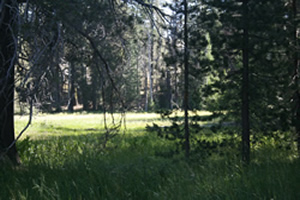 bell meadow 4