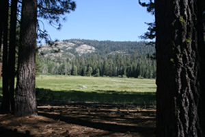 bell meadow 5