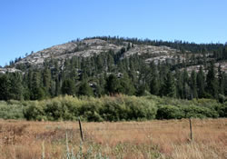Autumn in Bell Meadows