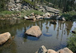 clavey river