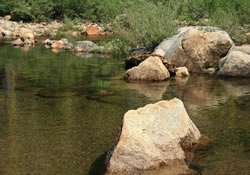 clavey river