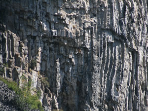 columns