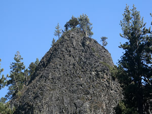column