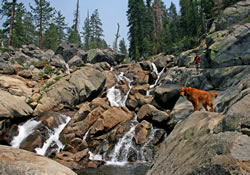 cascade