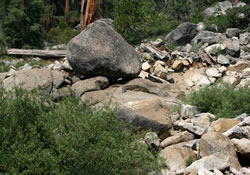 creekside