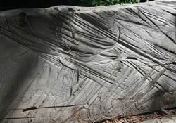 Close-up of Carvings