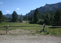 Grazing Area Across the Road