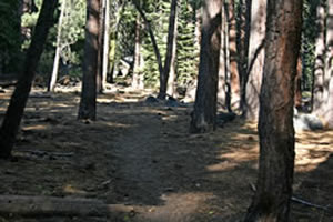 Trail