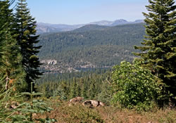 View of Pinecrest Lake