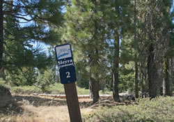 second marker