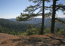 view at 5