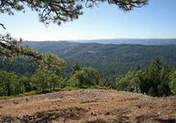 view at 5