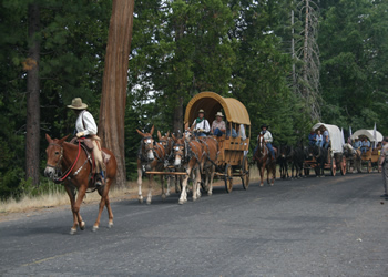 Arrival of Wagon Train